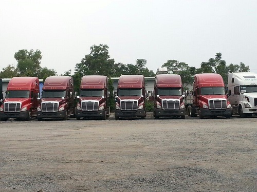 Vận tải container tại Hồ Chí Minh - Logistics Trí Việt - Công Ty TNHH Thương Mại Dịch Vụ Xuất Nhập Khẩu Trí Việt